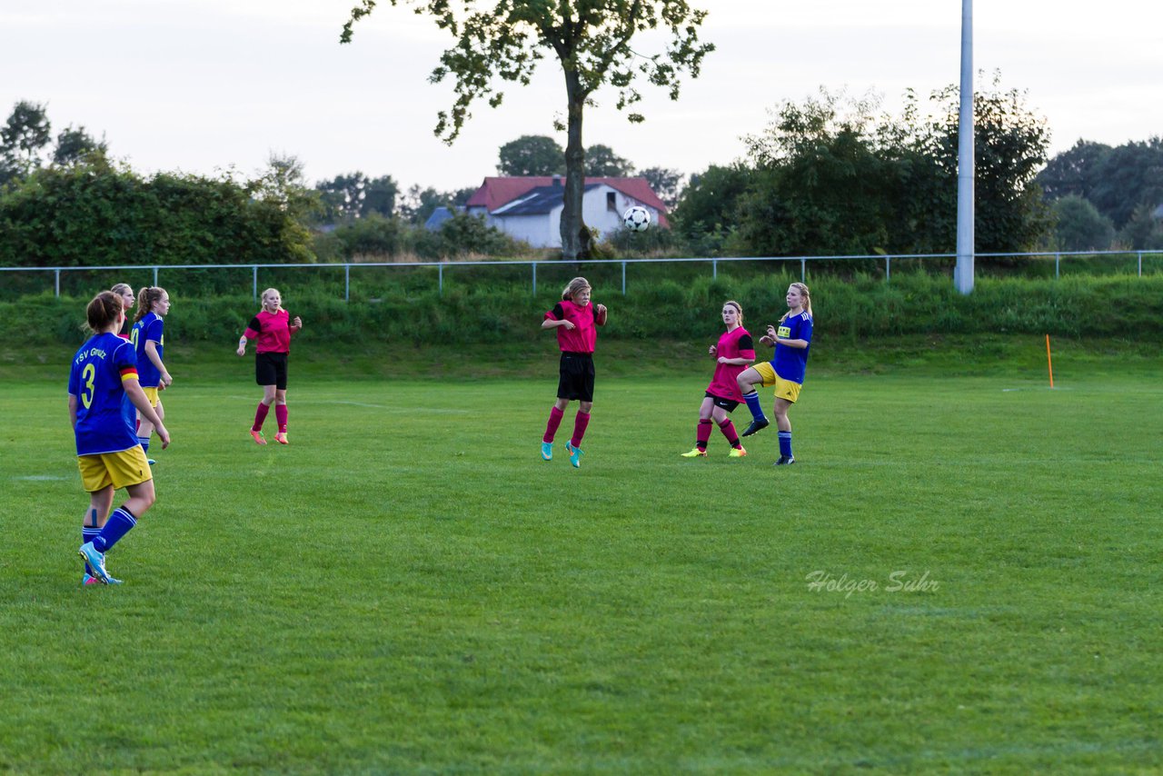 Bild 164 - B-Juniorinnen TSV Gnutz o.W. - SV Wahlstedt : Ergebnis: 1:1